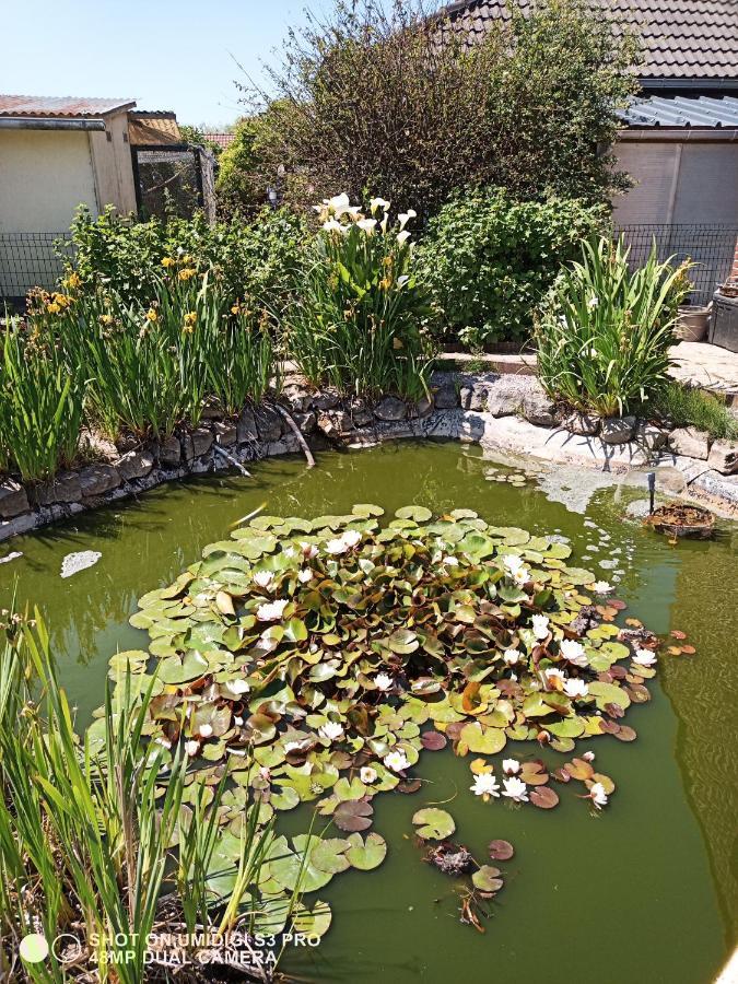 Le Lion Des Flandres Villa Ruminghem Екстериор снимка